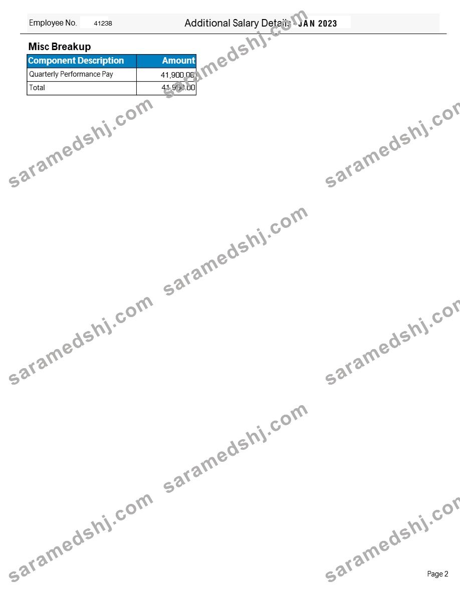 Tata Consultancy Services payslip template in Word and PDF formats.pdf, 2